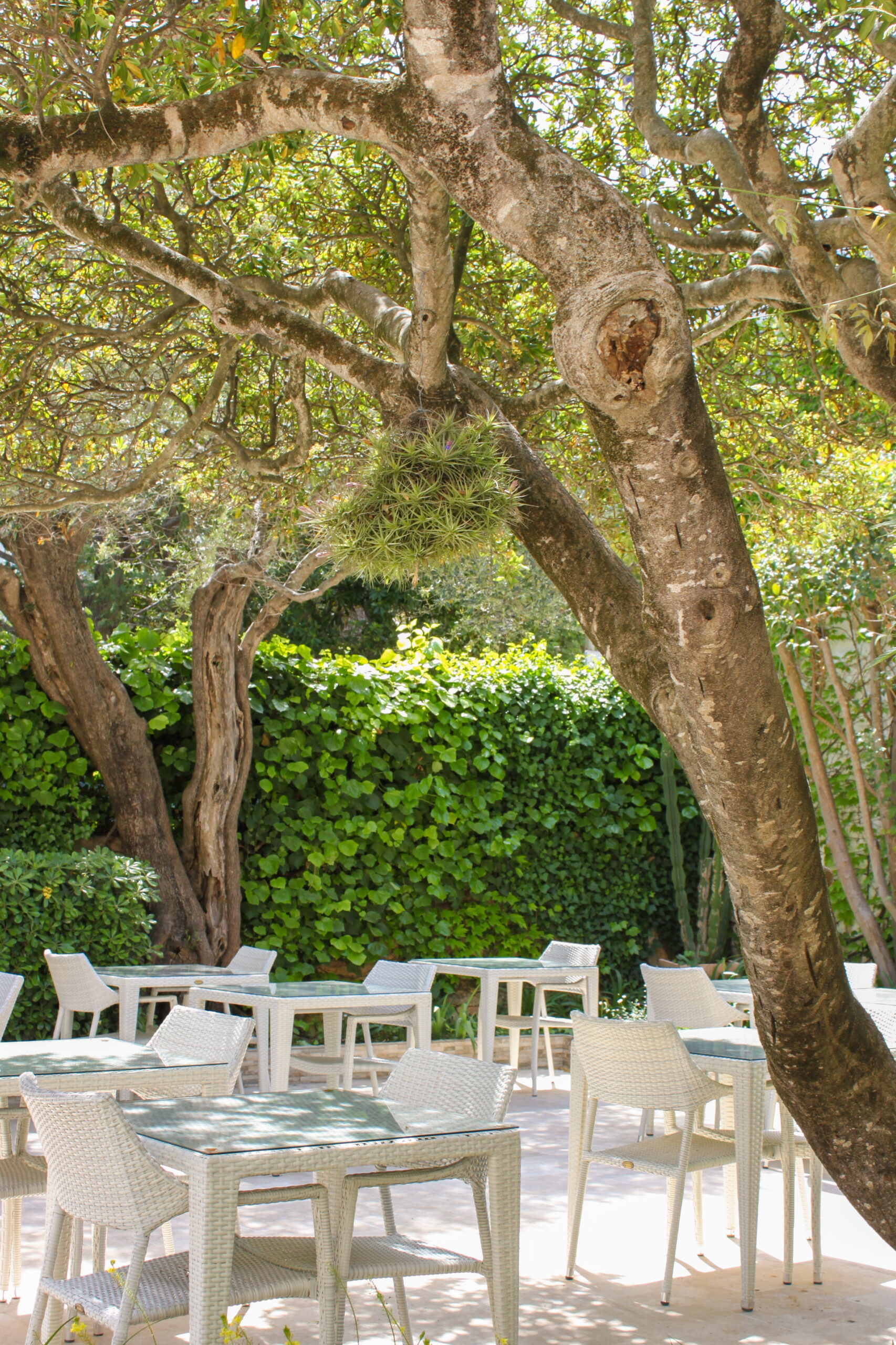 Terrasse 3 scaled